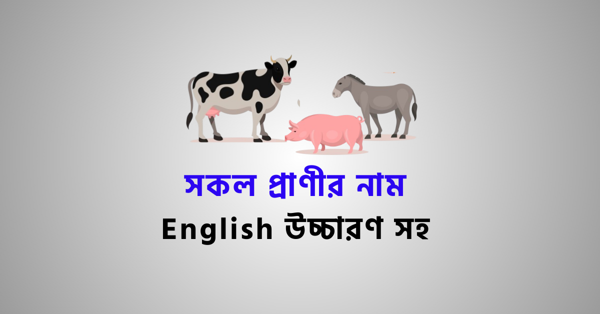 ইংরেজি উচ্চারন সহ প্রাণীর নাম | All Animals Name in Bengali Animals vocabulary in Bengali
