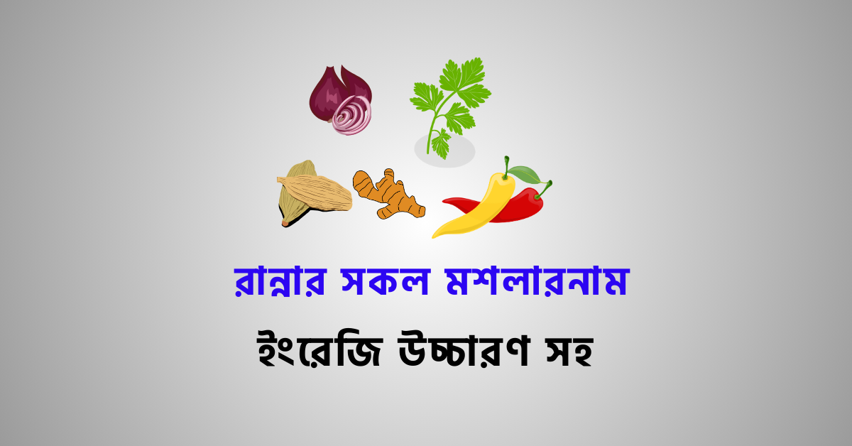 Spices Name In Bengali | মসলা-পাতি নাম