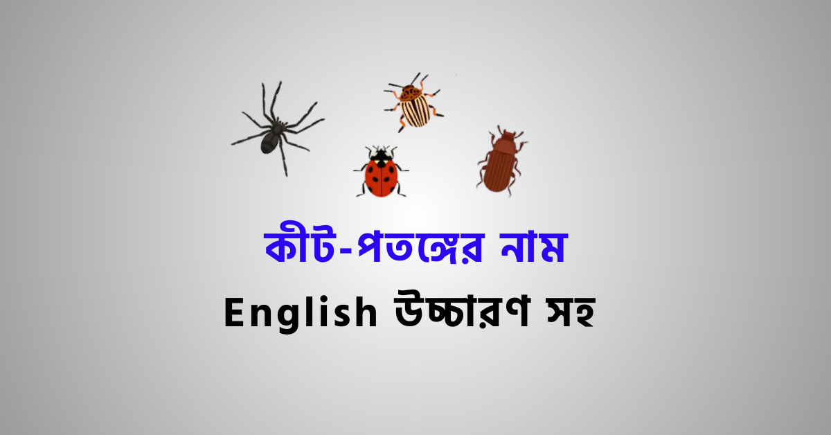Worms and Insects Name In Bengali | Insects vocabulary in Bangla