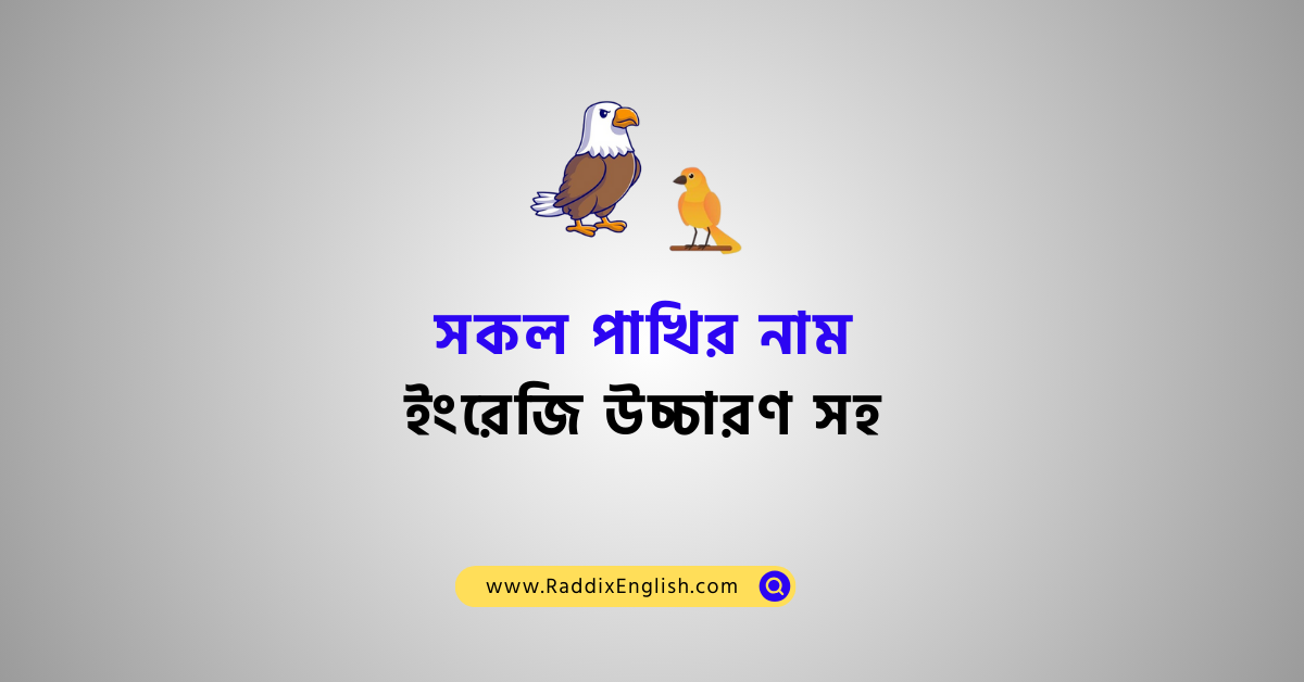 all birds name in bengali ,birds vocabulary list, birds name in bengali to english
