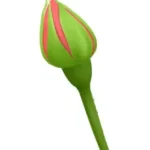 Bud