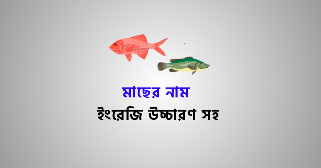 fish-name-in-bengali