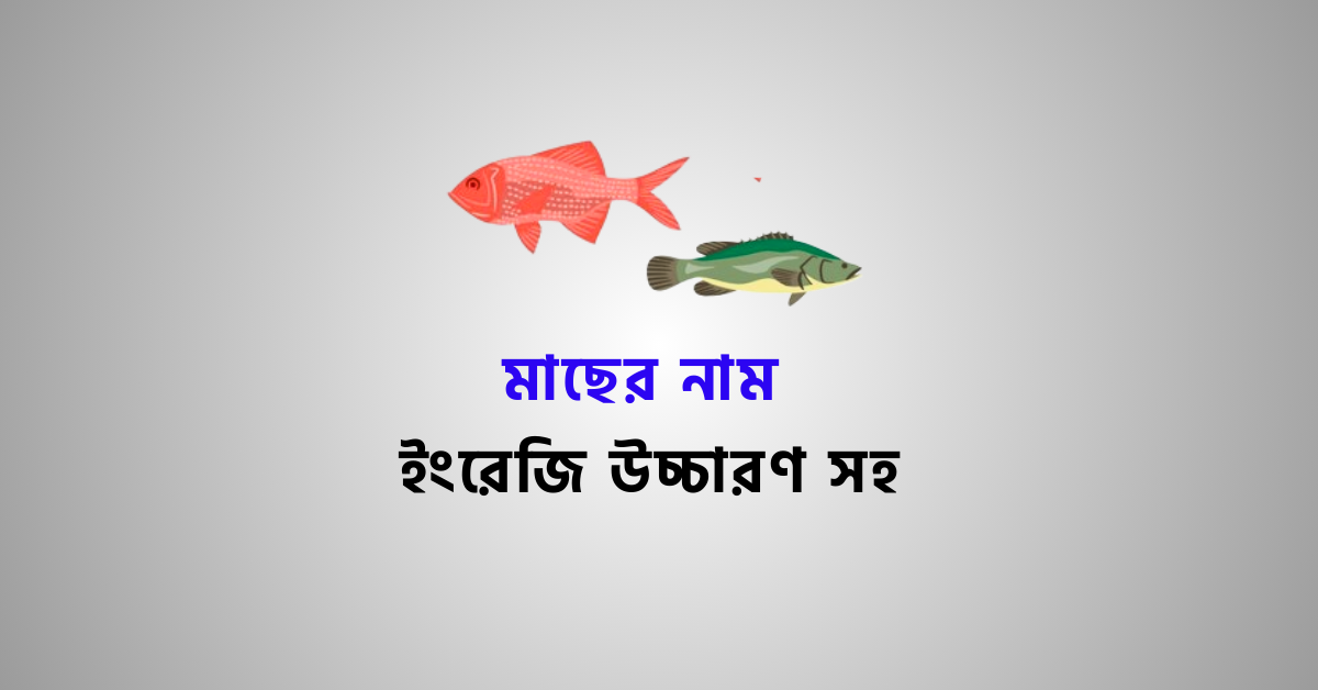 ইংরেজিতে মাছের নাম | Fish Name In Bengali